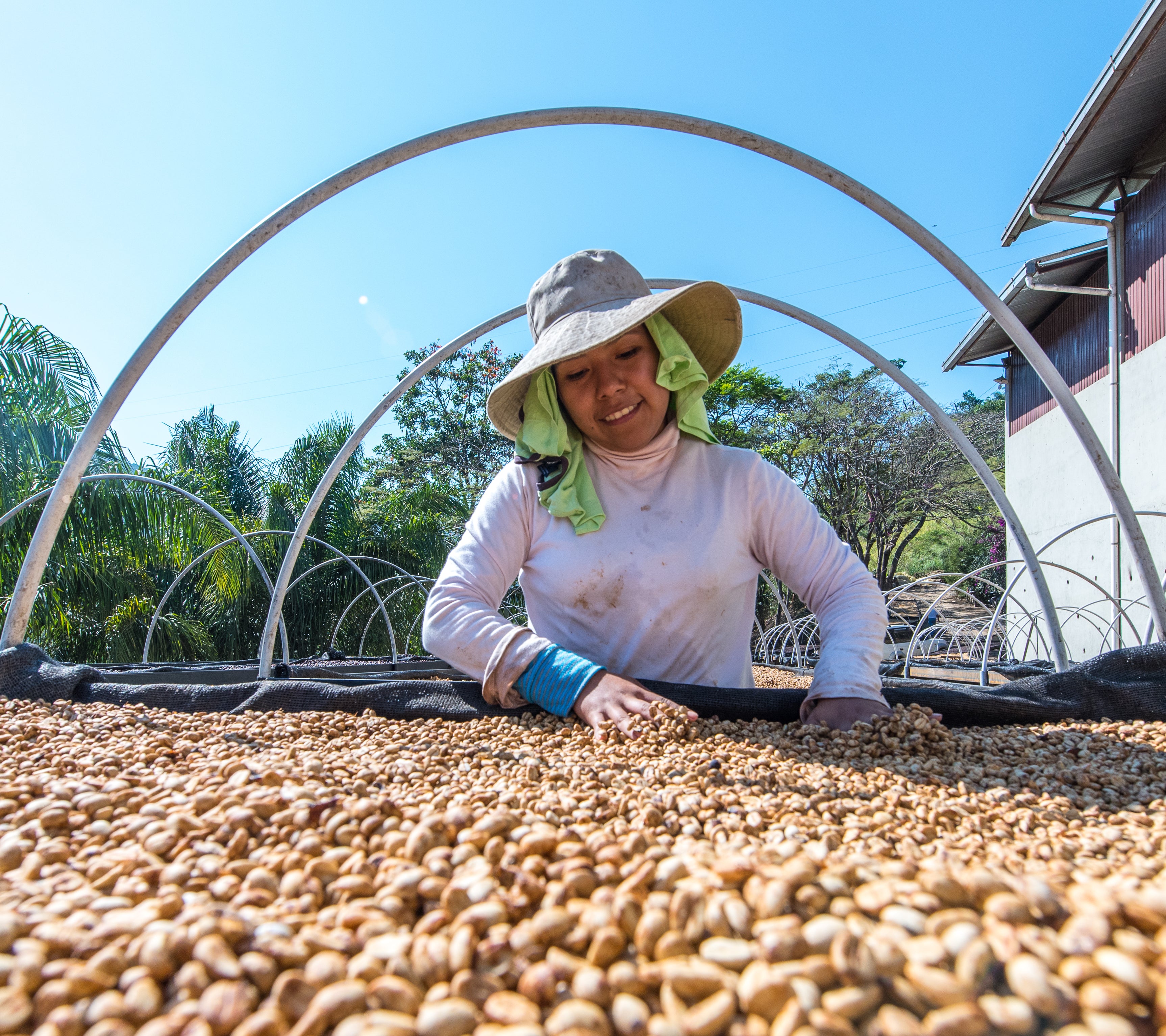 Come riconoscere e pretendere tracciabilità e trasparenza