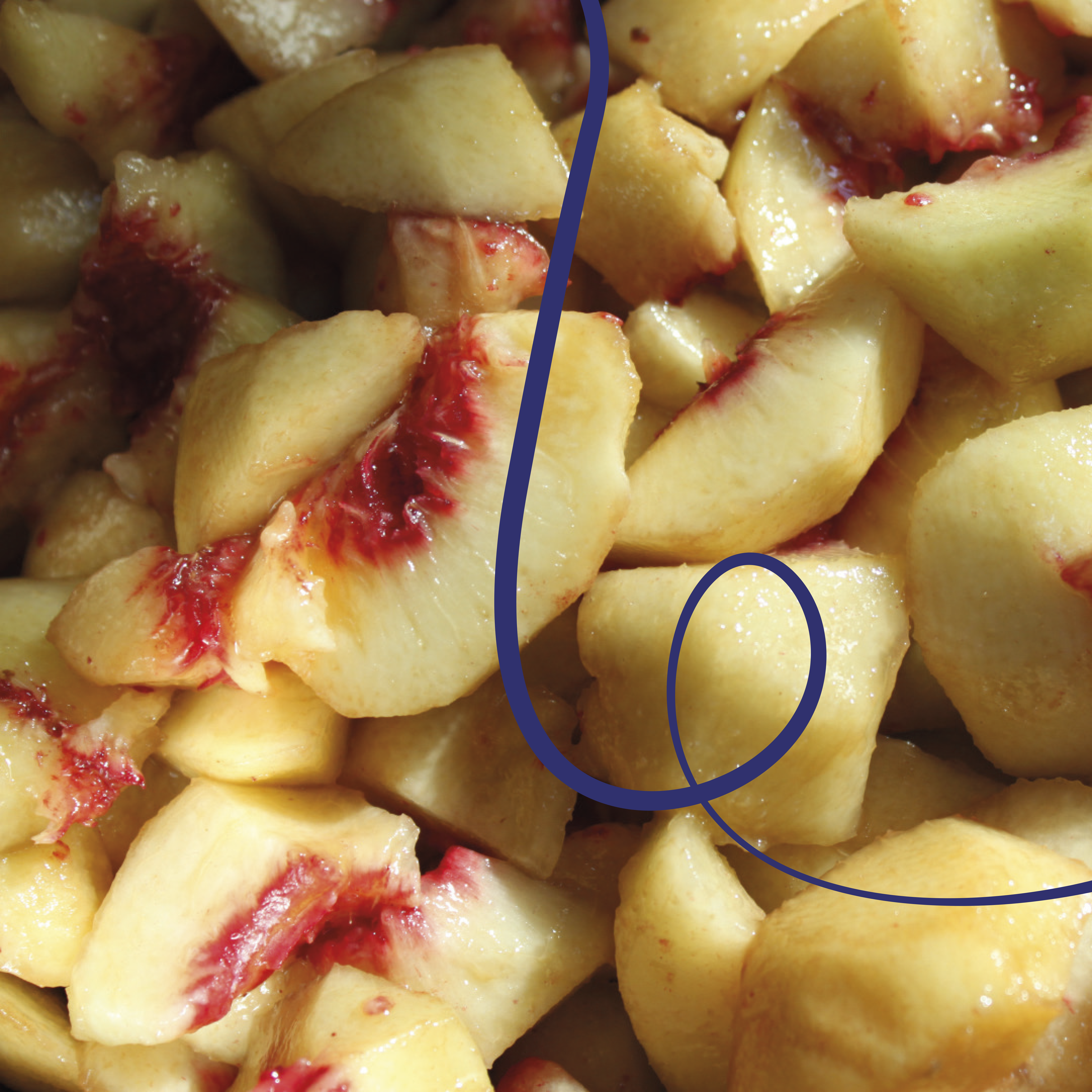 Nestor Lasso Sidra Hydroney