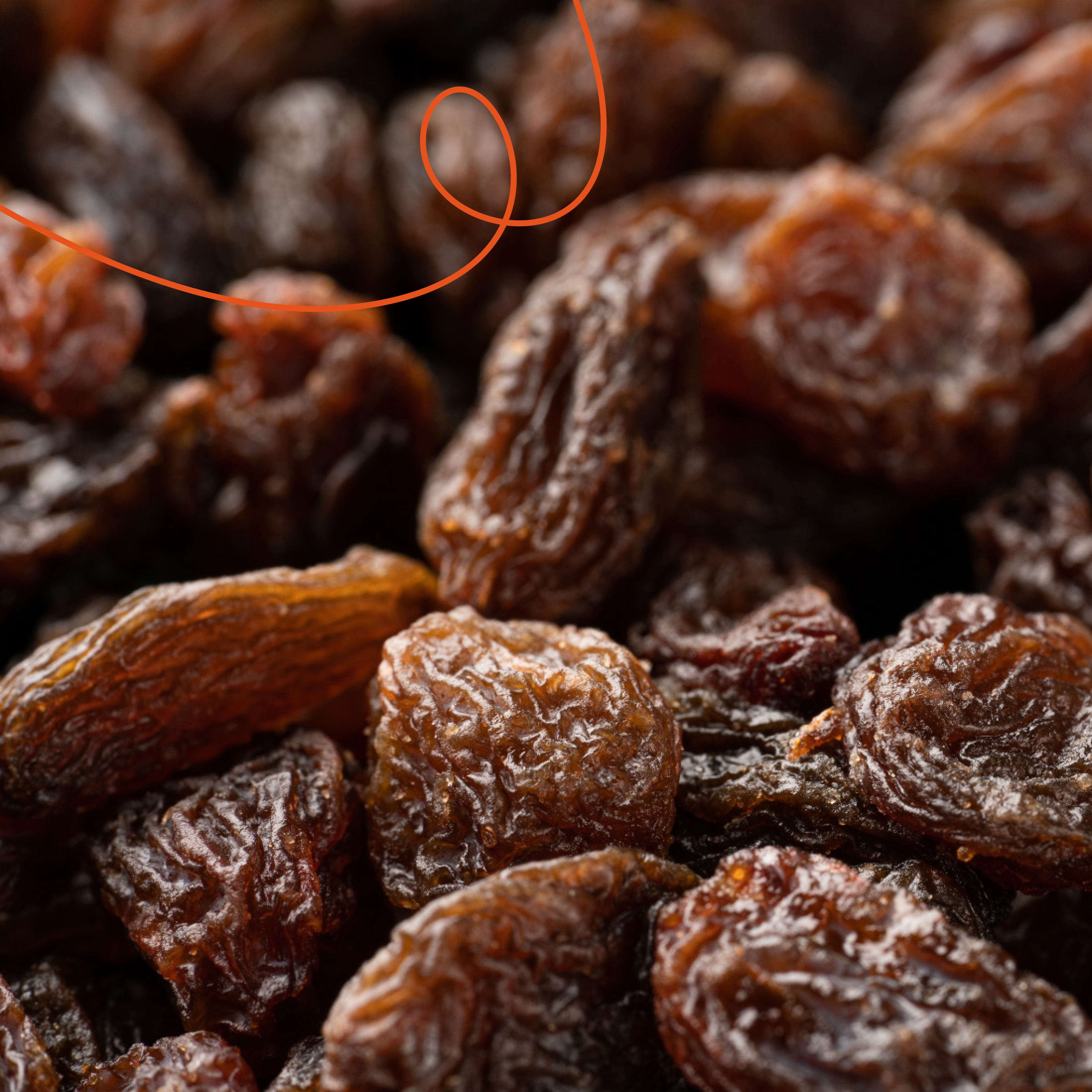 Honduras Finca El Puente Catuai Anaerobic Natural