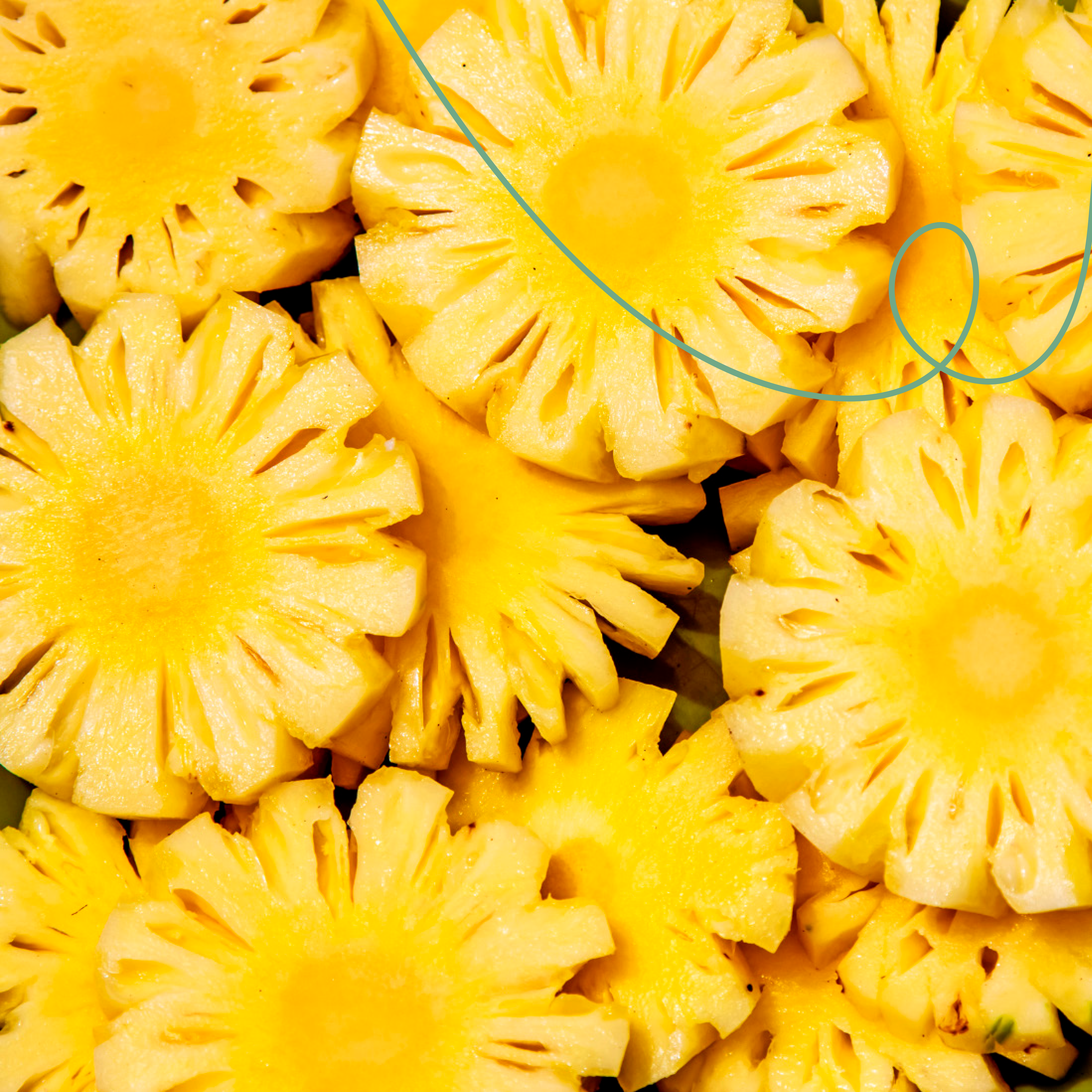 Honduras Finca El Puente Geisha Washed