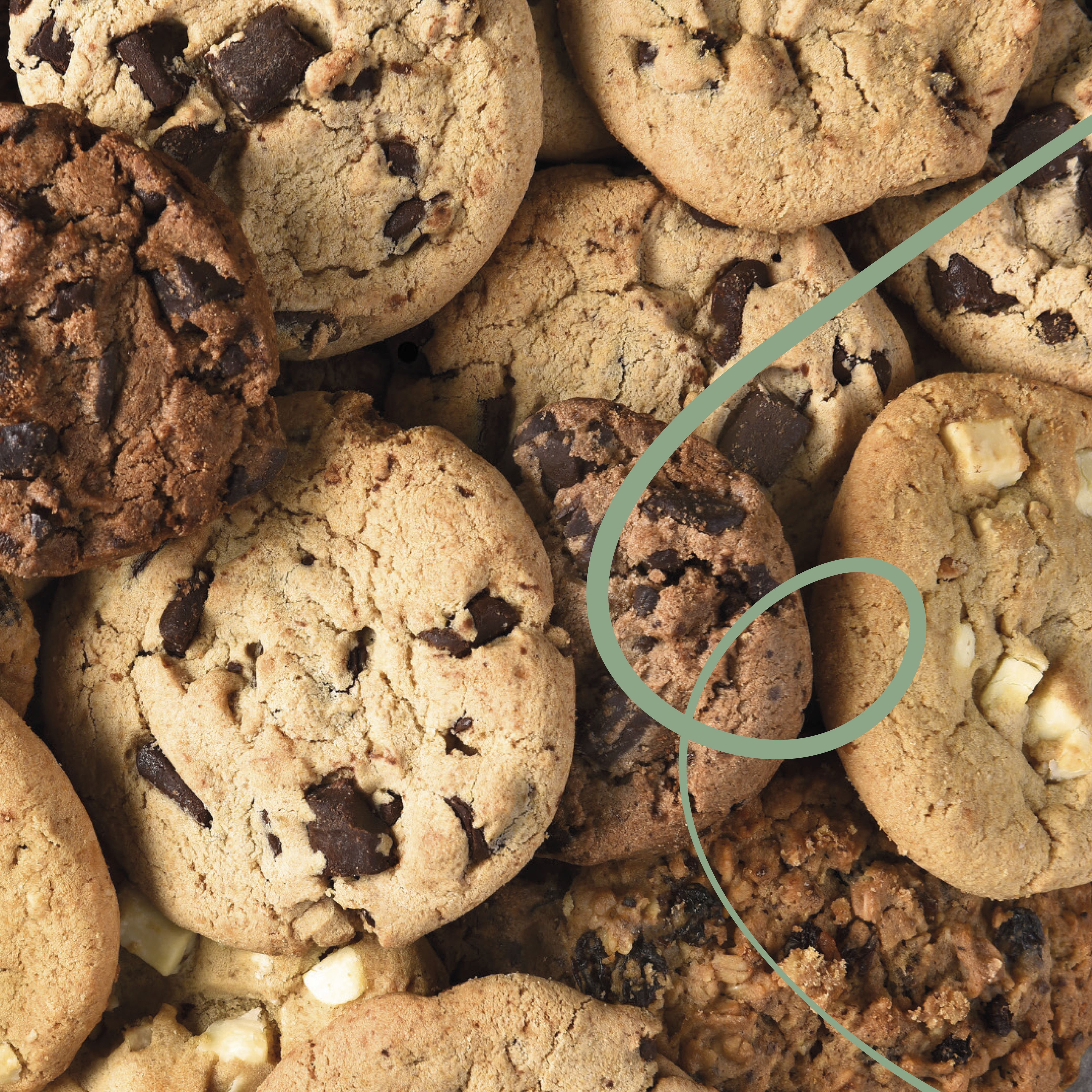 Honduras Finca El Puente Catuai Washed