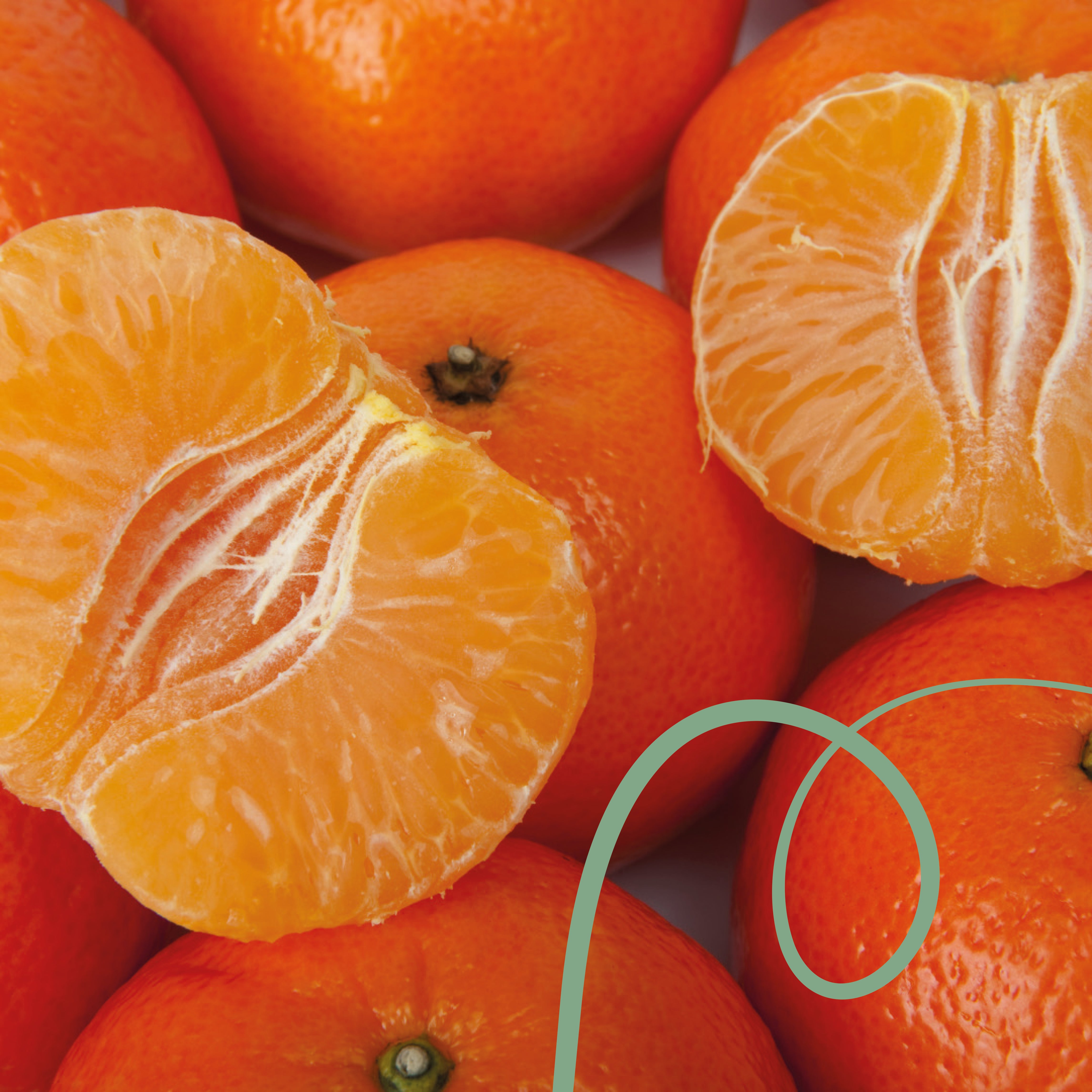 Panama Finca Hiu's Los Lajones