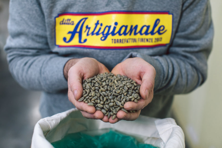 Welcome in Ditta Artigianale
