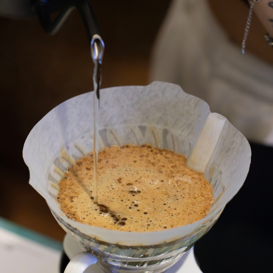 Barista Full Immersion + Open Your Coffee Shop