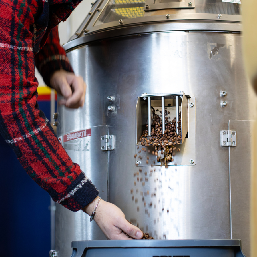 Coffee: from the bean to your cup
