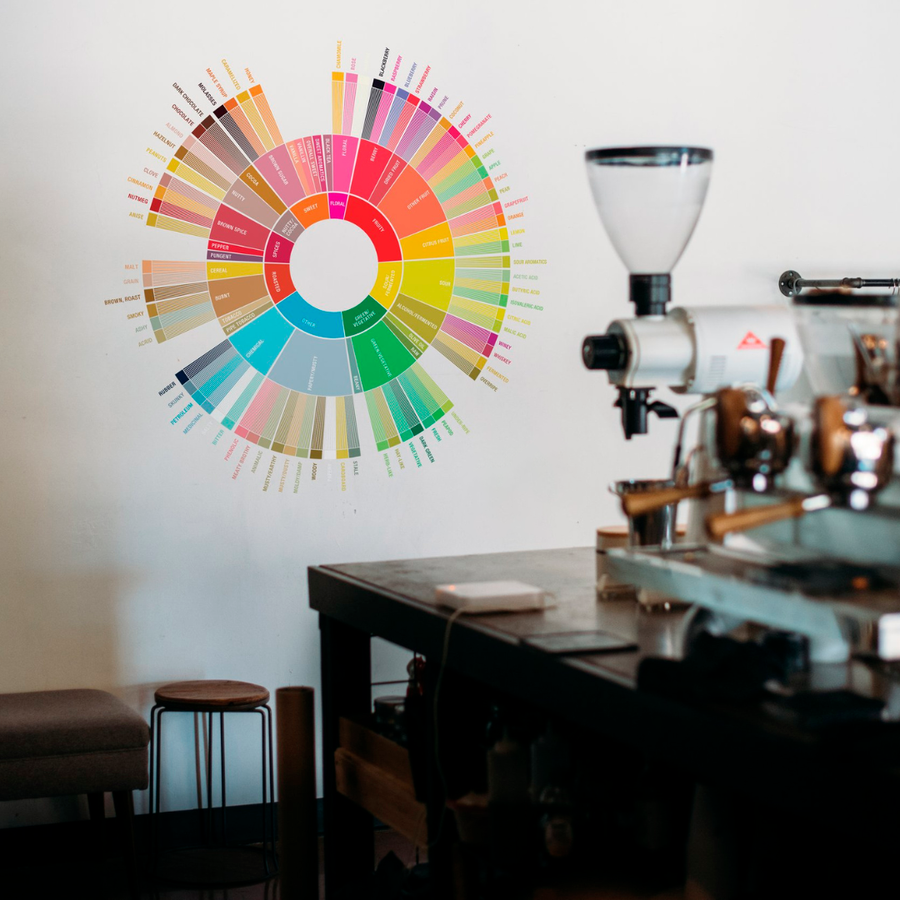Learn how to taste coffee