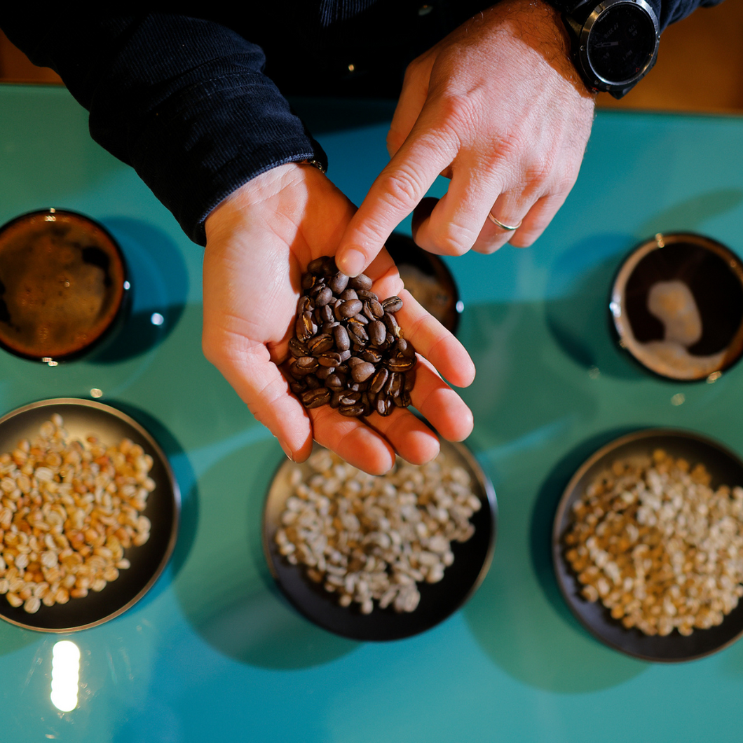 Barista Course - Advanced Level Espresso