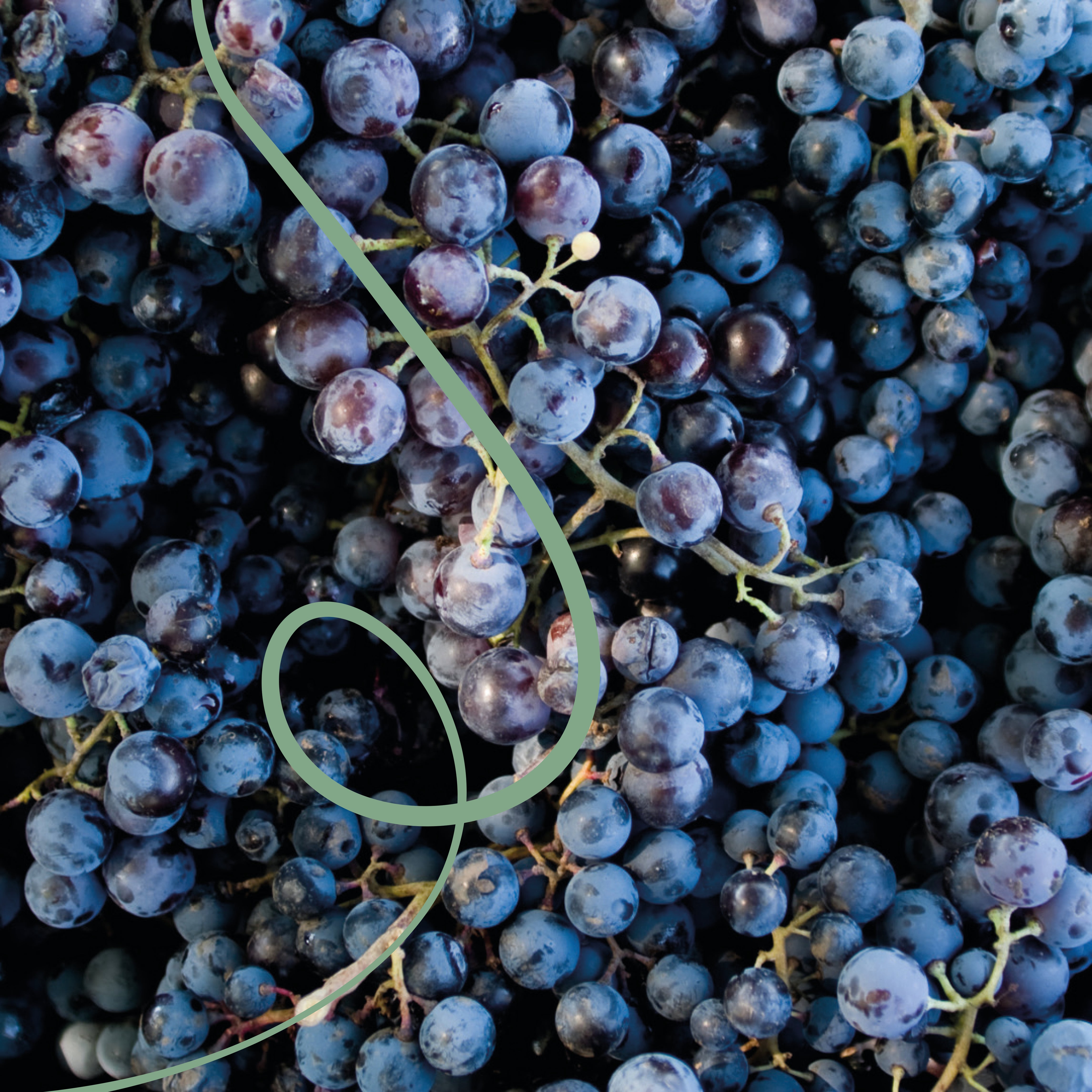 Costa Rica Sumava de Lourdes