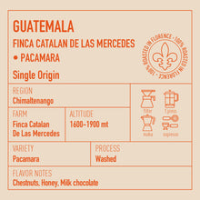 Load image into Gallery viewer, GUATEMALA FINCA CATALAN DE LAS MERCEDES PACAMARA
